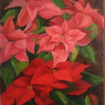 Poinsettias